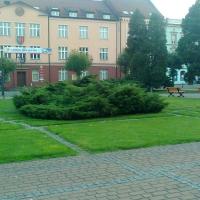 , marian