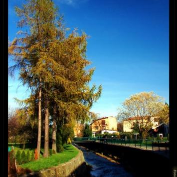Skoczów, Vincci