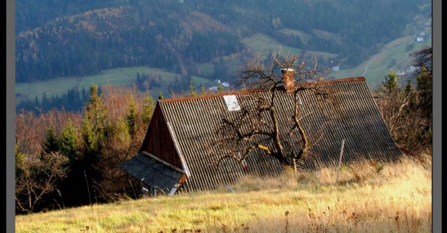 Beskid Śląski: Szlakiem im.K Sosnowskiego Równica 885m - Stożek 978m -przeł.Kubalonka 758m. - zdjęcie