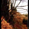 , Vincci
