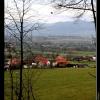 , Vincci