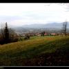 , Vincci