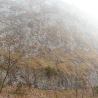 , mokunka