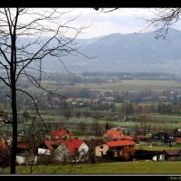 Goleszów, Vincci