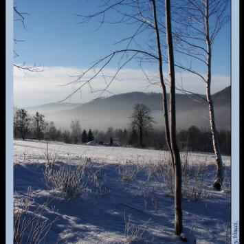 widok na Wisłę Obłaziec, Vincci