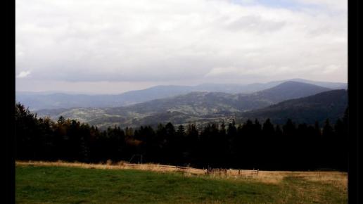 , Vincci