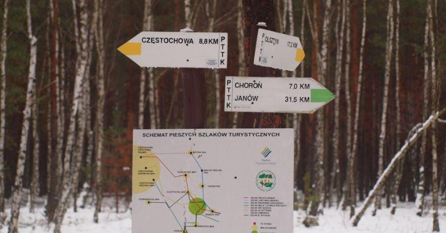 Ostatni spacer - 2012r. - trasa 686 - zdjęcie