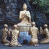 Budda na każdy dzień tygodnia, Tadeusz Walkowicz