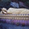 Budda na każdy dzień tygodnia, Tadeusz Walkowicz