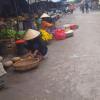 Targ w Hoi An, Tadeusz Walkowicz
