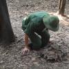 Tunele Cu Chi, Tadeusz Walkowicz