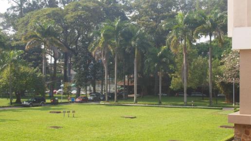 Park, Tadeusz Walkowicz