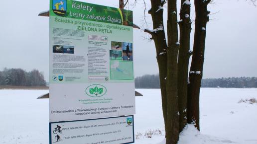 Jezioro Zielona w Kaletach