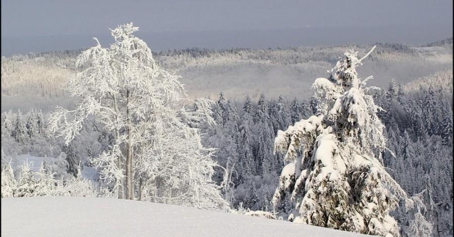 Pozdrowienia z Beskidu - zdjęcie