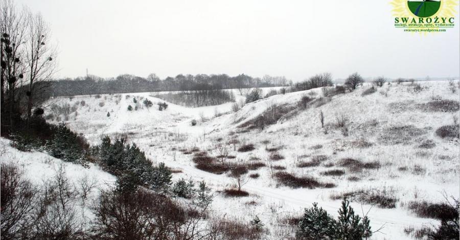 Gród "Zamczysko" - zdjęcie