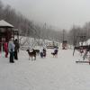 , mokunka