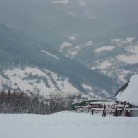, mokunka