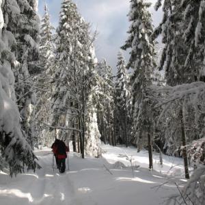 Wyciągi narciarskie w Gorcach