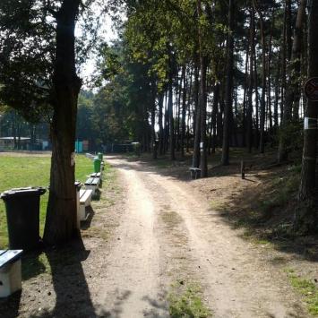 szlak na plaży, Robert B