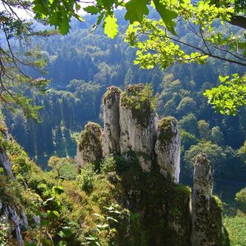 Dolina Prądnika-Ojców - zdjęcie