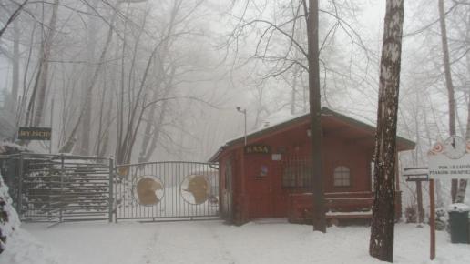 Wejście , kasa , mokunka