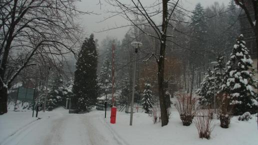 w drodze z parkingu, mokunka