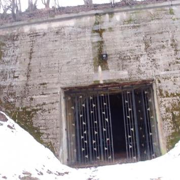 , mokunka