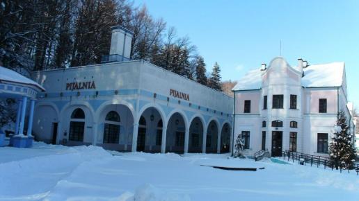 Pijalnia Wód w Iwoniczu Zdroju, mokunka