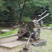 Fort Wędrowiec - armata, Tadeusz Walkowicz