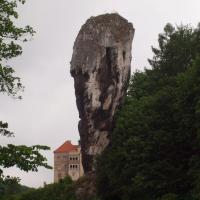 Maczuga Herkulesa, Tadeusz Walkowicz