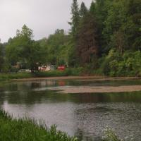 Staw w Sułoszowej, Tadeusz Walkowicz