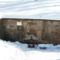 ujęcie wód mineralnych w Parlku Zdrojowym, mokunka