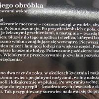 , Magdalena