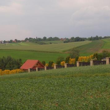 W kierunku Hamerni , Tadeusz Walkowicz