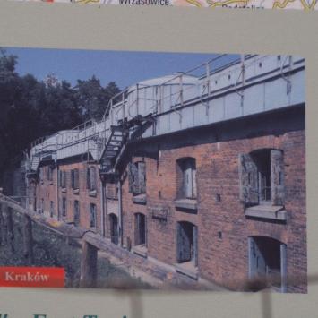 Fort Tonie, Tadeusz Walkowicz