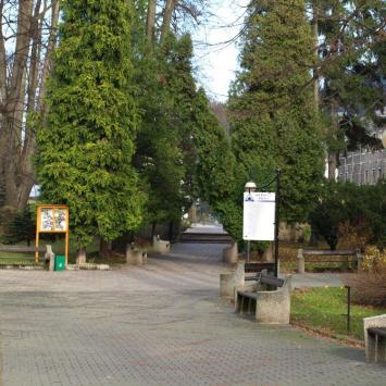 Długopole Zdrój - park, Tadeusz Walkowicz
