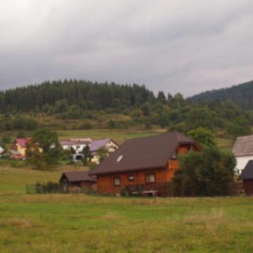 Kamesznica, Tadeusz Walkowicz