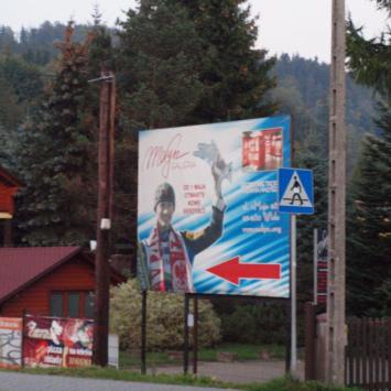 Do muzeum, Tadeusz Walkowicz