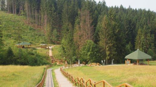 Trójstyk - Słowacja, Czechy i Polska, Tadeusz Walkowicz