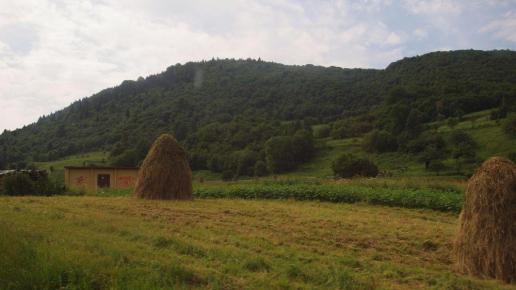 W drodze do Jaworek, Tadeusz Walkowicz