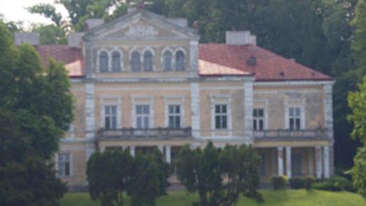 Palac Raczyńskich w Złotym Potoku, Tadeusz Walkowicz