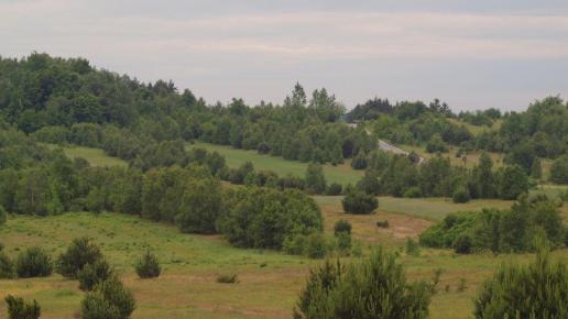 Blisko Niegowa, Tadeusz Walkowicz