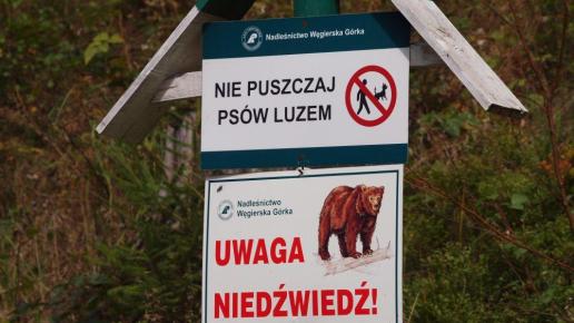 Trzeba się bać, Tadeusz Walkowicz