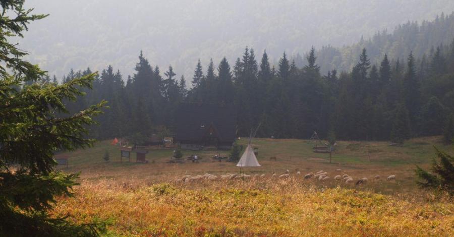 Szlakiem na Wielką Ryczerzową - zdjęcie