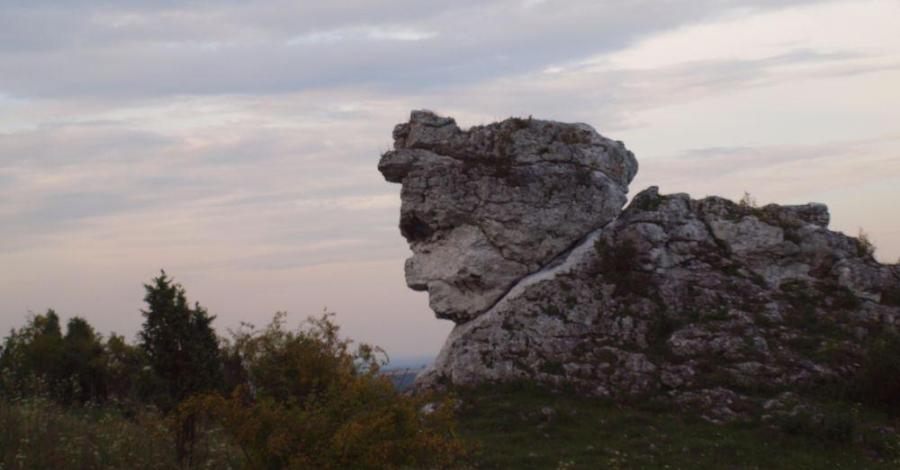 Podlesice - zdjęcie