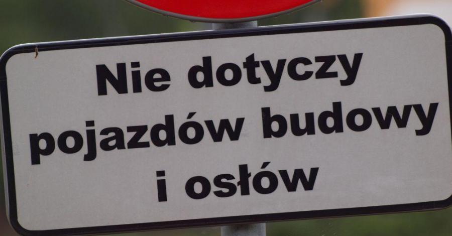 Szlak Orlich Gniazd - Mirów - Złoty Potok - zdjęcie