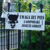 Świeradowska gościnność, Ela