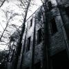 , Dominik Dobros