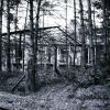 , Dominik Dobros