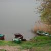 , mokunka